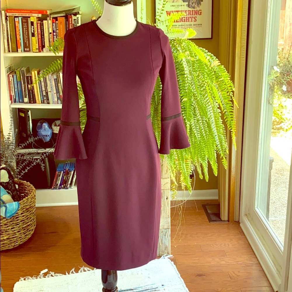 Elegant and dramatic Calvin sheath